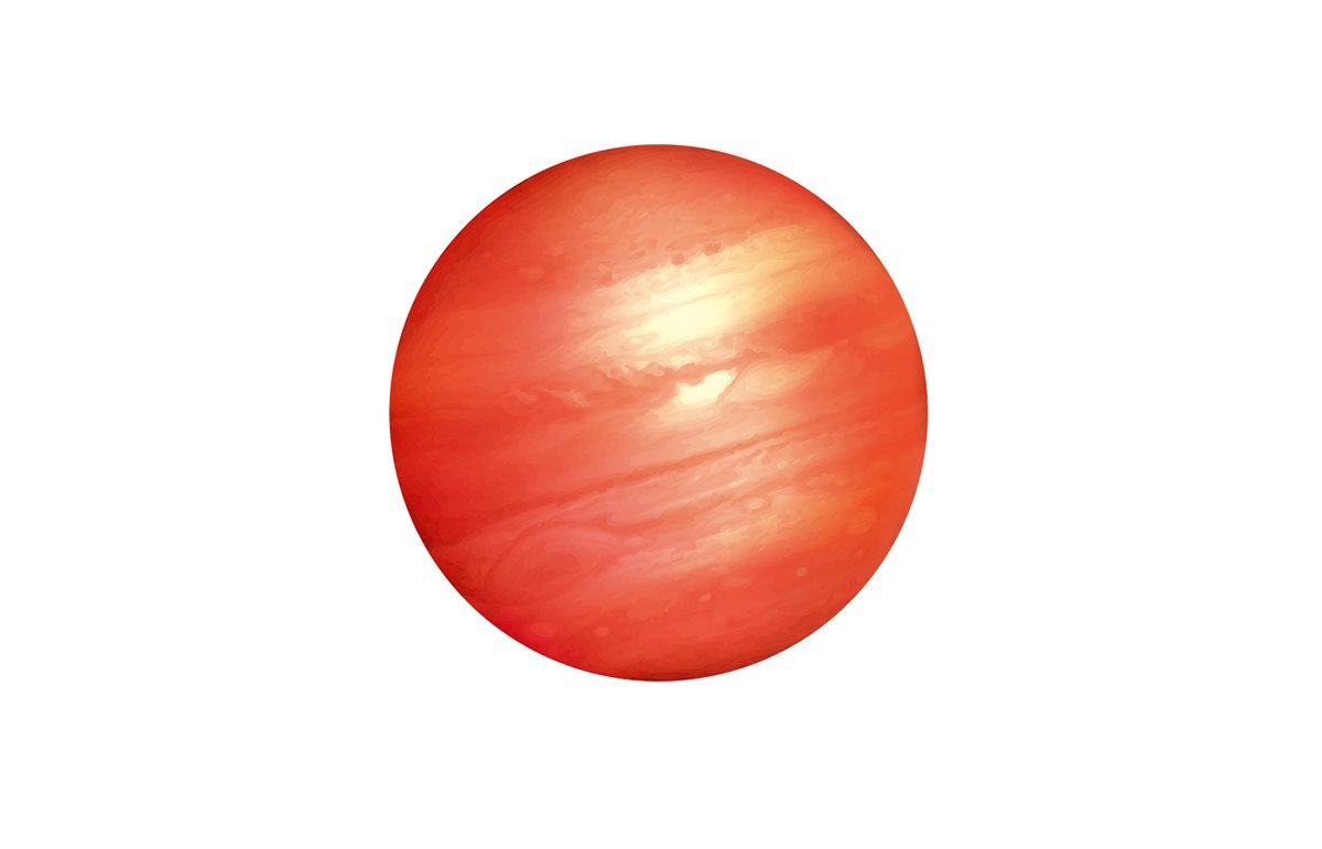 柑橘網(wǎng)站VI識別系統(tǒng)  標志設(shè)計