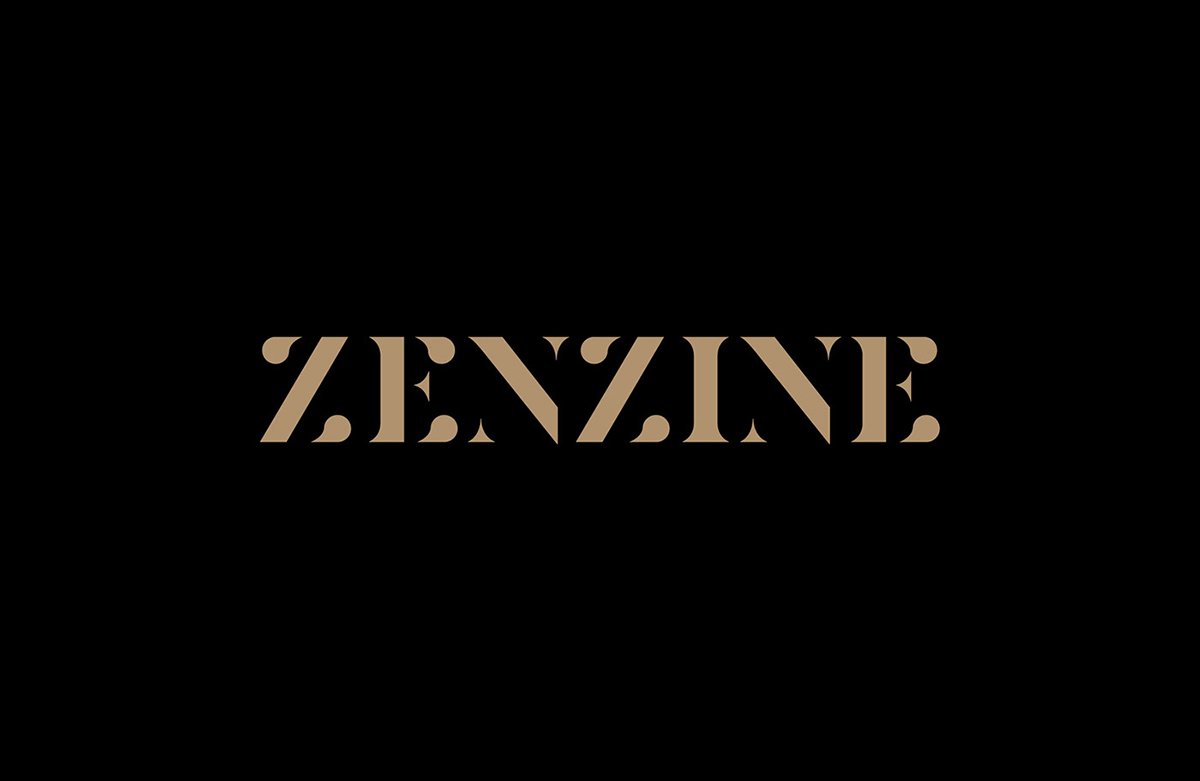 深圳VI設(shè)計  深圳VI策劃  Zenzine畫冊VI形象設(shè)計  標志設(shè)計