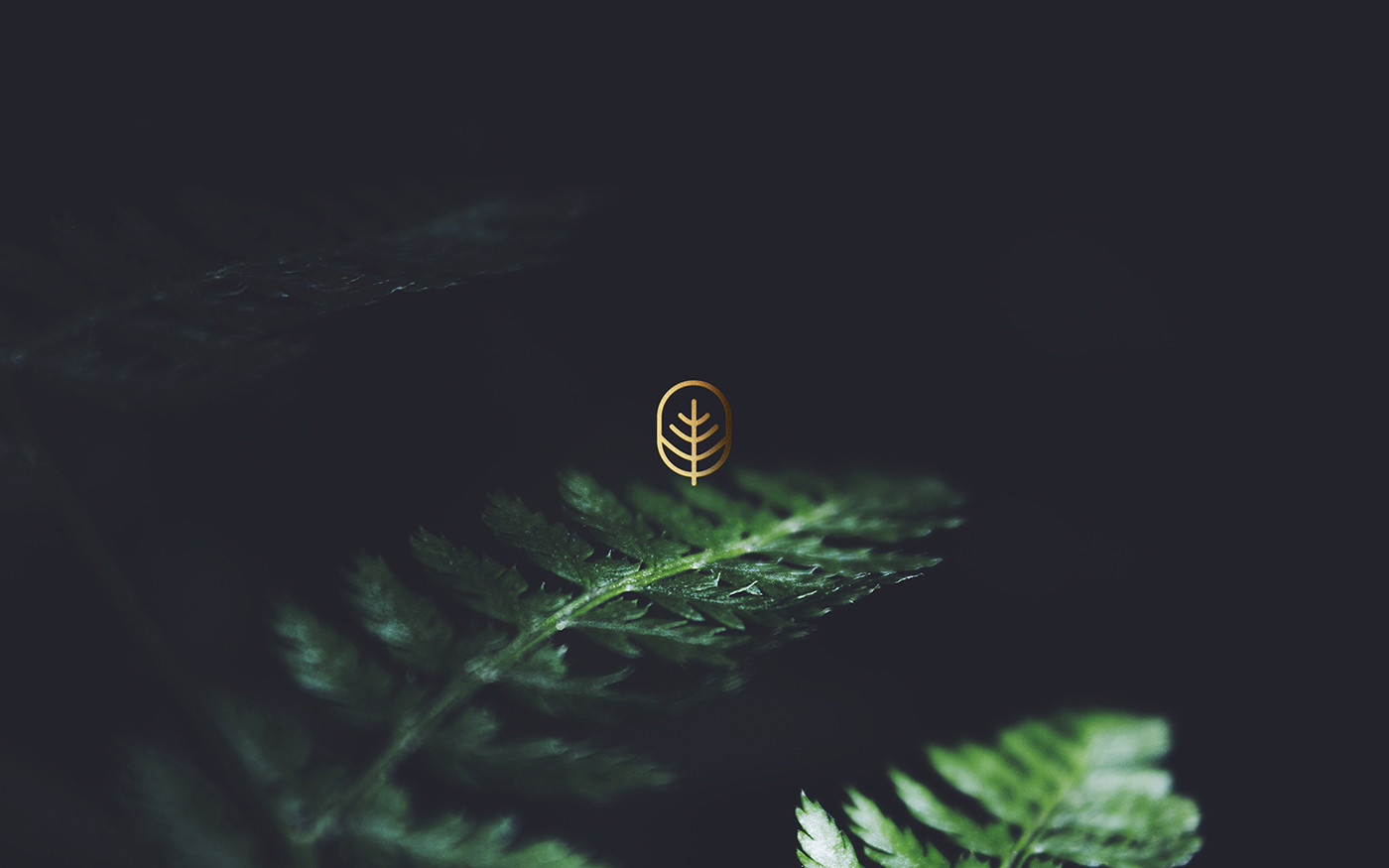 著名國外醫(yī)療機構(gòu)vi設(shè)計——企業(yè)logo識別系統(tǒng)展示，醫(yī)療企業(yè)vi設(shè)計，企業(yè)logo設(shè)計，品牌策劃，深圳vi設(shè)計，左右格局
