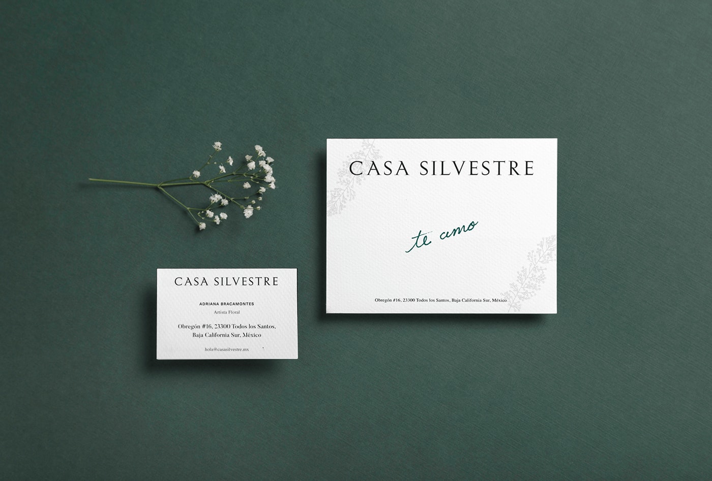 Casa Silvestre浪漫花店品牌logo設(shè)計(jì)與VI視覺(jué)設(shè)計(jì)，酒店VI設(shè)計(jì)，品牌視覺(jué)設(shè)計(jì)，企業(yè)VI設(shè)計(jì)，深圳VI設(shè)計(jì)，左右格局