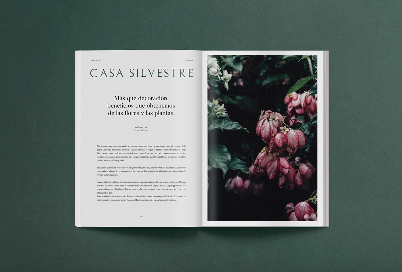 Casa Silvestre浪漫花店品牌logo設(shè)計(jì)與VI視覺(jué)設(shè)計(jì)，酒店VI設(shè)計(jì)，品牌視覺(jué)設(shè)計(jì)，企業(yè)VI設(shè)計(jì)，深圳VI設(shè)計(jì)，左右格局