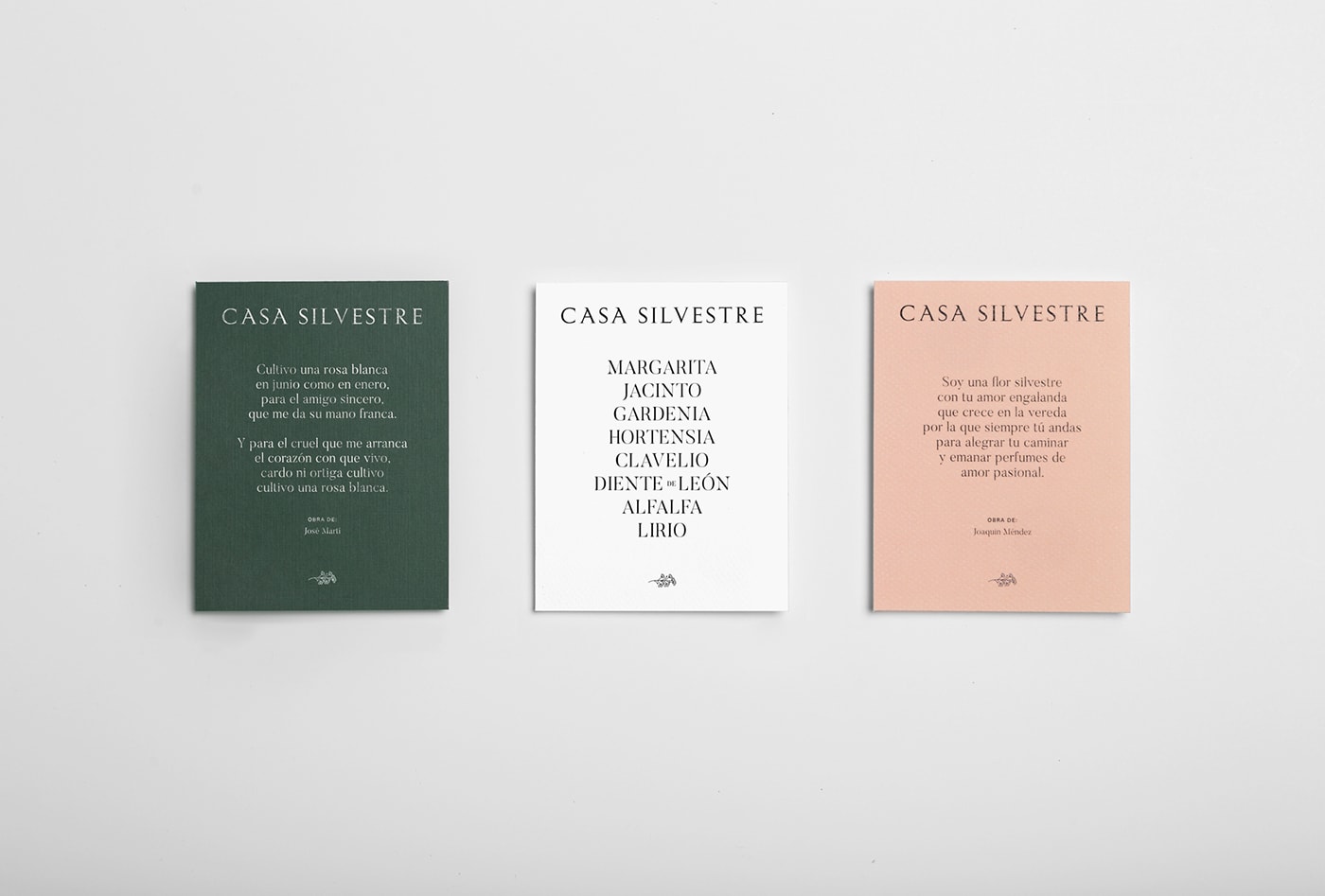 Casa Silvestre浪漫花店品牌logo設(shè)計(jì)與VI視覺(jué)設(shè)計(jì)，酒店VI設(shè)計(jì)，品牌視覺(jué)設(shè)計(jì)，企業(yè)VI設(shè)計(jì)，深圳VI設(shè)計(jì)，左右格局