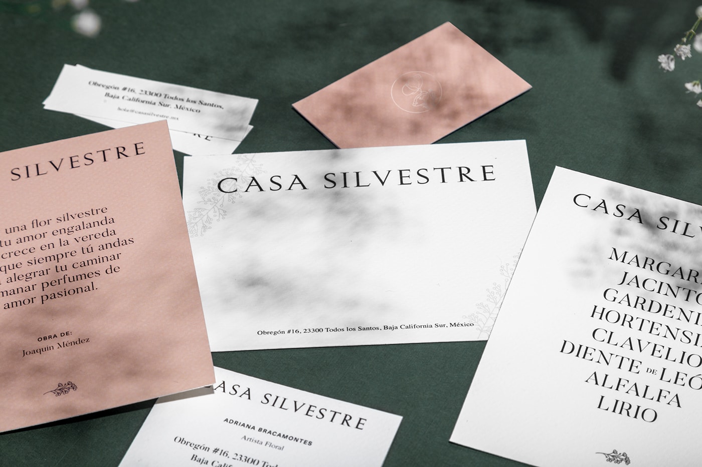 Casa Silvestre浪漫花店品牌logo設(shè)計(jì)與VI視覺(jué)設(shè)計(jì)，酒店VI設(shè)計(jì)，品牌視覺(jué)設(shè)計(jì)，企業(yè)VI設(shè)計(jì)，深圳VI設(shè)計(jì)，左右格局