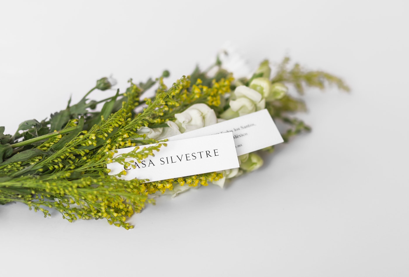 Casa Silvestre浪漫花店品牌logo設(shè)計(jì)與VI視覺(jué)設(shè)計(jì)，酒店VI設(shè)計(jì)，品牌視覺(jué)設(shè)計(jì)，企業(yè)VI設(shè)計(jì)，深圳VI設(shè)計(jì)，左右格局